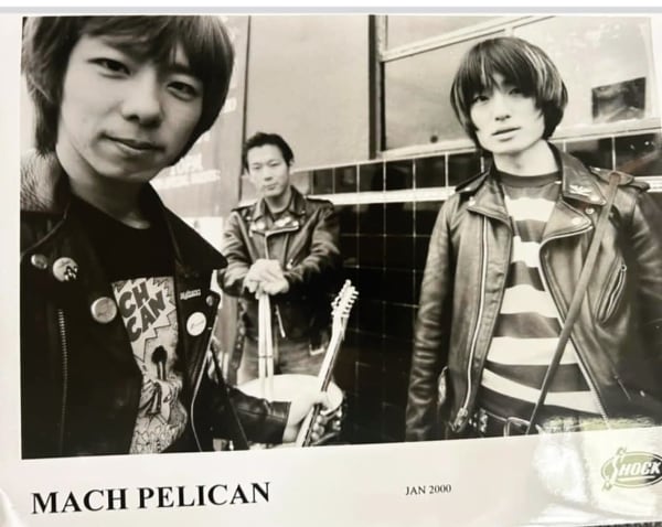 mach pelican 2000 promo