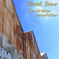 flood zone comp
